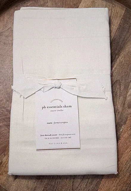 Pottery Barn Essential 300 Thread Count Sateen Sham Euro IVORY NEW